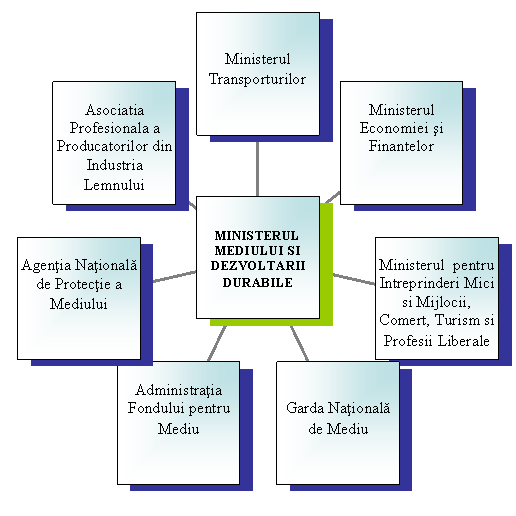 Radial Diagram