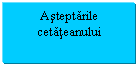 Text Box: Asteptarile cetateanului