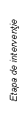 Text Box: Etapa de interventie