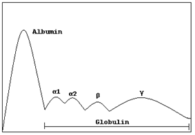 Description: https://upload.wikimedia.org/wikipedia/en/2/26/Electrophoresis.png