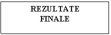 Text Box: REZULTATE
FINALE
