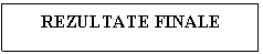 Text Box: REZULTATE FINALE