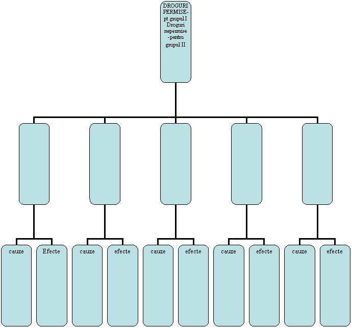 Organization Chart