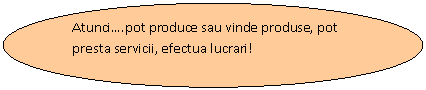 Oval: Atunci . .pot produce sau vinde produse, pot presta servicii, efectua lucrari! 