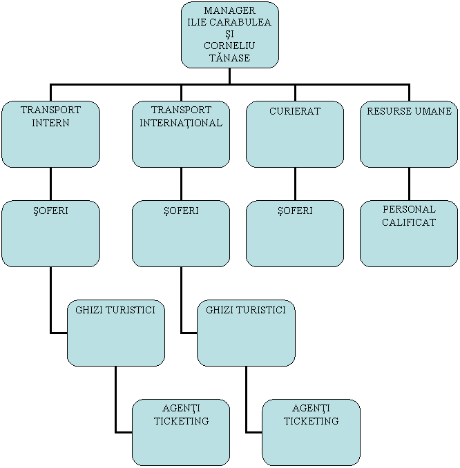 Organization Chart