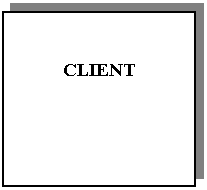 Text Box: CLIENT

