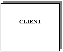 Text Box: CLIENT

