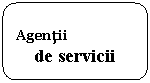 Rounded Rectangle: Agentii 
de servicii

