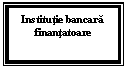 Text Box: Institutie bancara
finantatoare
