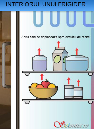 Interiorul frigiderului