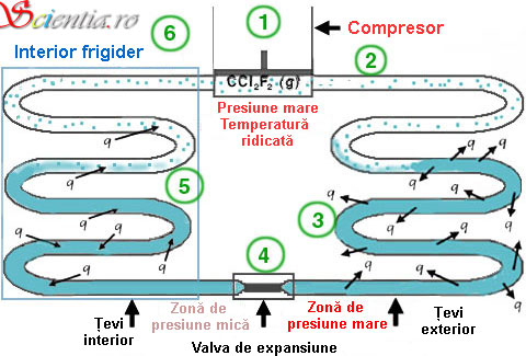 Frigiderul - o perspectiva termodinamica