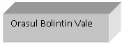 Text Box: Orasul Bolintin Vale

