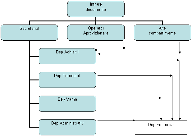 Organization Chart