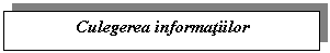 Text Box: Culegerea informatiilor