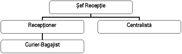 Organization Chart