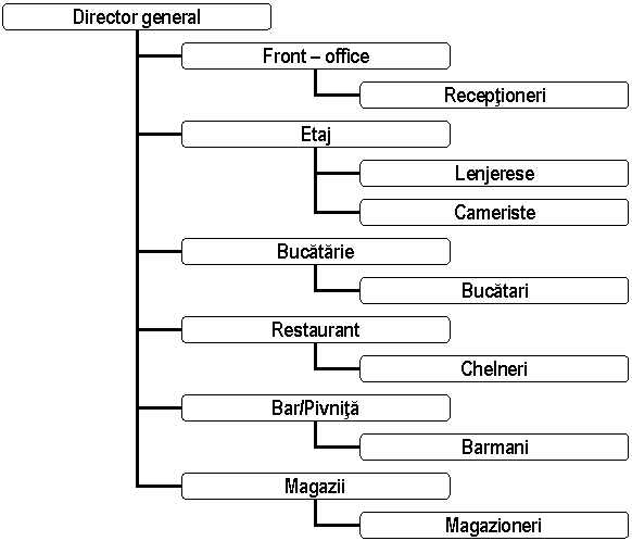 Organization Chart