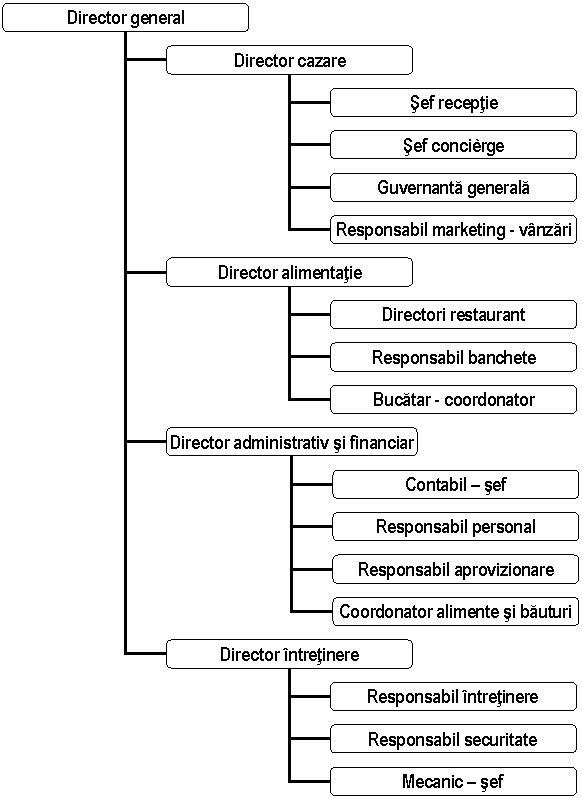 Organization Chart