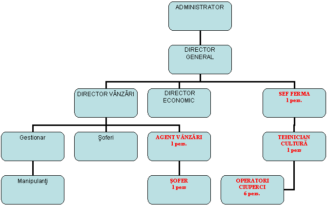 Organization Chart