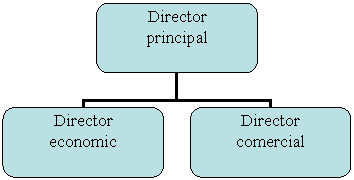 Organization Chart