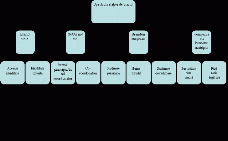 Organization Chart