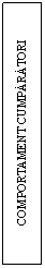 Text Box: COMPORTAMENT CUMPARATORI