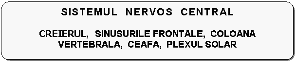 Flowchart: Alternate Process: SISTEMUL NERVOS CENTRAL 

CREIERUL, SINUSURILE FRONTALE, COLOANA VERTEBRALA, CEAFA, PLEXUL SOLAR
 
