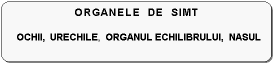 Flowchart: Alternate Process: ORGANELE DE SIMT

OCHII, URECHILE, ORGANUL ECHILIBRULUI, NASUL 
