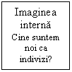 Text Box: Imaginea interna
Cine suntem noi ca indivizi?
