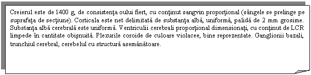 Folded Corner: Creierul este de 1400 g, de consistenta oului fiert, cu continut sangvin proportional (sangele se prelinge pe suprafata de sectiune). Corticala este net delimitata de substanta alba, uniforma, palida de 2 mm grosime. Substanta alba cerebrala este uniforma. Ventriculii cerebrali proportional dimensionati, cu continut de LCR limpede in cantitate obisnuita. Plexurile coroide de culoare violacee, bine reprezentate. Ganglionii bazali, trunchiul cerebral, cerebelul cu structura asemanatoare.