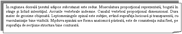 Folded Corner: In regiunea dorsala tesutul adipos subcutanat este redus. Musculatura proportional reprezentata, bogata in sange si lichid interstitial. Arcurile vertebrale indemne. Canalul vertebral proportional dimensionat. Dura mater de grosime obisnuita. Leptomeningele spinal este subtire, avand suprafata lucioasa si transparenta, cu vascularizatie bine vizibila. Msduva spinarii are forma anatomica pastrata, este de consistenta oului fiert, pe suprafata de sectiune structura bine conturata.