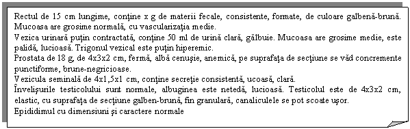 Folded Corner: Rectul de 15 cm lungime, contine x g de materii fecale, consistente, formate, de culoare galbena-bruna. Mucoasa are grosime normala, cu vascularizatia medie.
Vezica urinara putin contractata, contine 50 ml de urina clara, galbuie. Mucoasa are grosime medie, este palida, lucioasa. Trigonul vezical este putin hiperemic.
Prostata de 18 g, de 4x3x2 cm, ferma, alba cenusie, anemica, pe suprafata de sectiune se vad concremente punctiforme, brune-negricioase.
Vezicula seminala de 4x1,5x1 cm, contine secretie consistenta, ucoasa, clara.
Invelisurile testicolului sunt normale, albuginea este neteda, lucioasa. Testicolul este de 4x3x2 cm, elastic, cu suprafata de sectiune galben-bruna, fin granulara, canaliculele se pot scoate usor.
Epididimul cu dimensiuni si caractere normale
