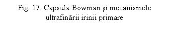 Text Box: Fig. 17. Capsula Bowman si mecanismele ultrafinarii irinii primare