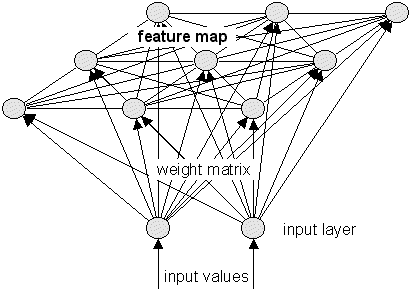 sample structure of a Kohonen Feature Map