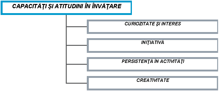 Organization Chart