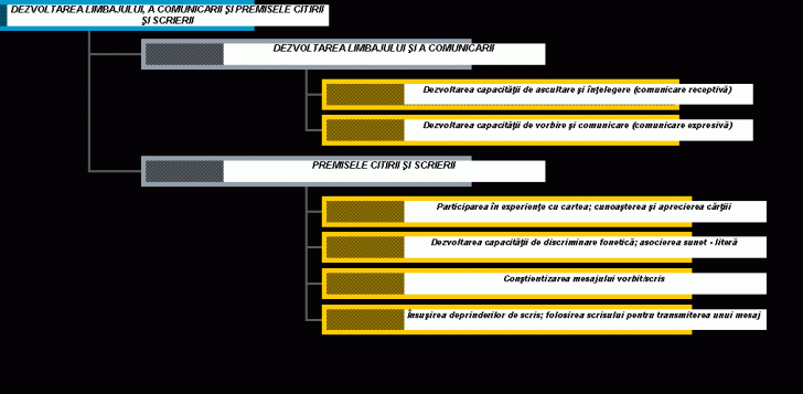 Organization Chart