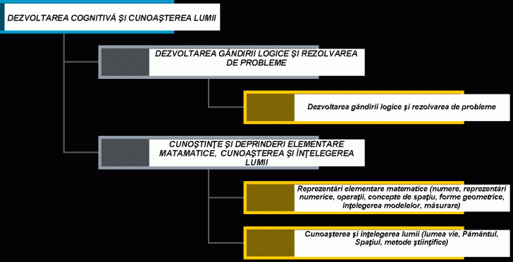 Organization Chart