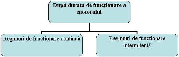 Organization Chart