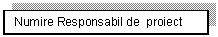 Text Box: Numire Responsabil de  proiect