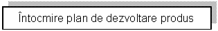 Text Box: Intocmire plan de dezvoltare produs 