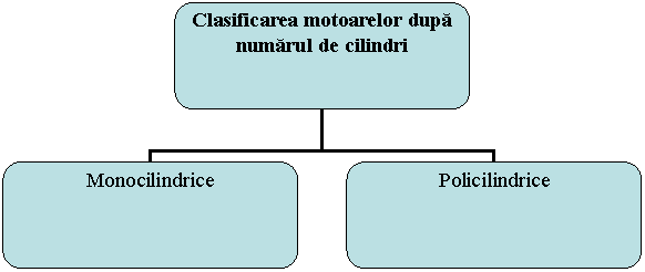 Organization Chart