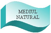 Wave: MEDIUL NATURAL