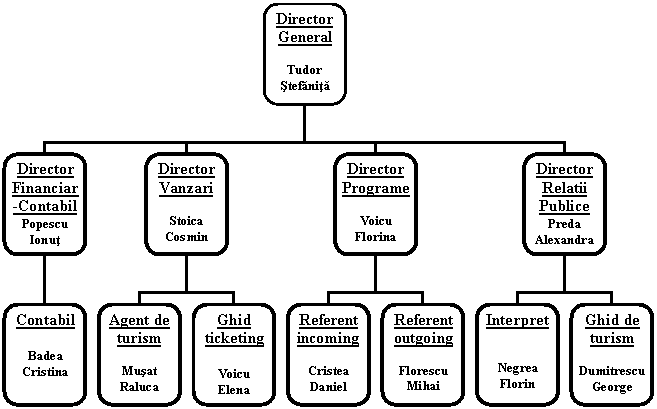 Organization Chart