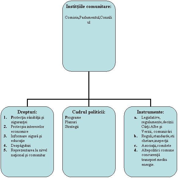 Organization Chart